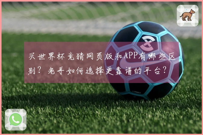 买世界杯竞猜网页版和APP有哪些区别？老手如何选择更靠谱的平台？