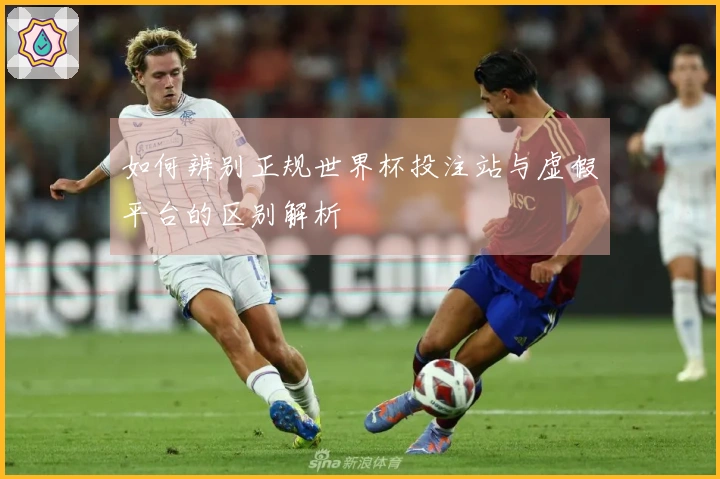 如何辨别正规世界杯投注站与虚假平台的区别解析